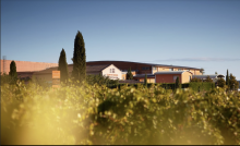 Cave a vin Pujaut le cellier des chartreux